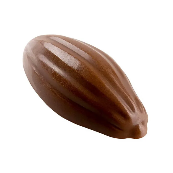 forma bombom cacau